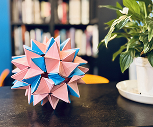 Stellar Kusudama Flower